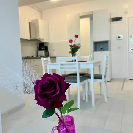 Apartmente In Solidhouse * Mamaia